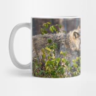 Gray Wolf Mug